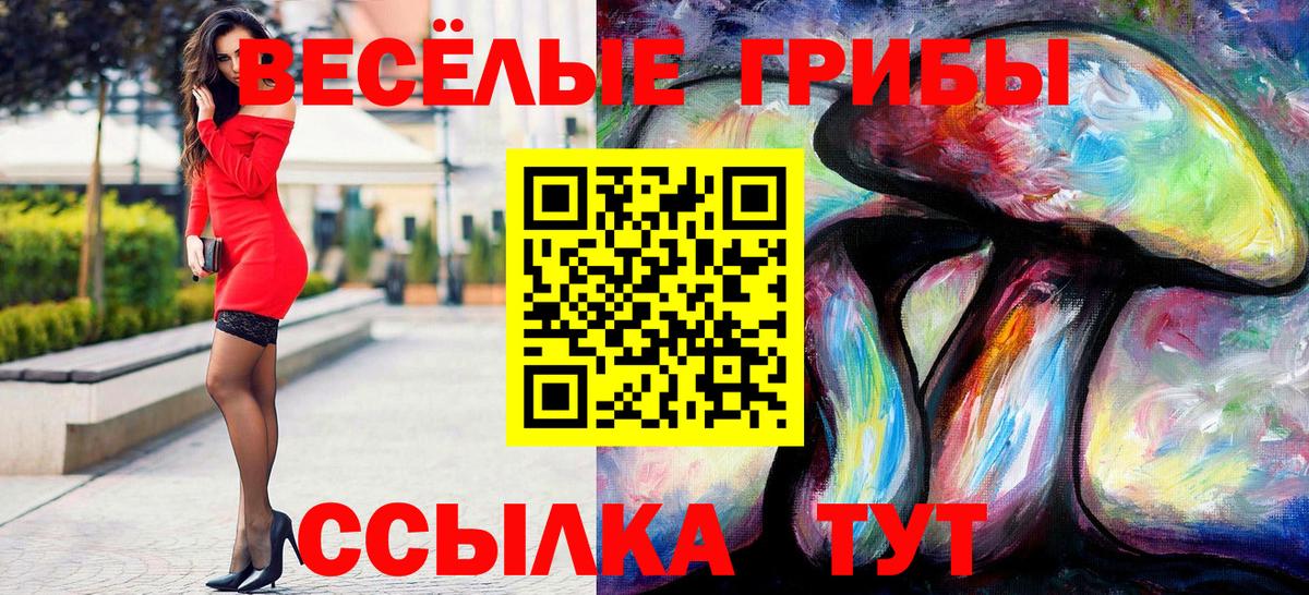 Псилоцибиновые грибы мухоморы Жигулёвск